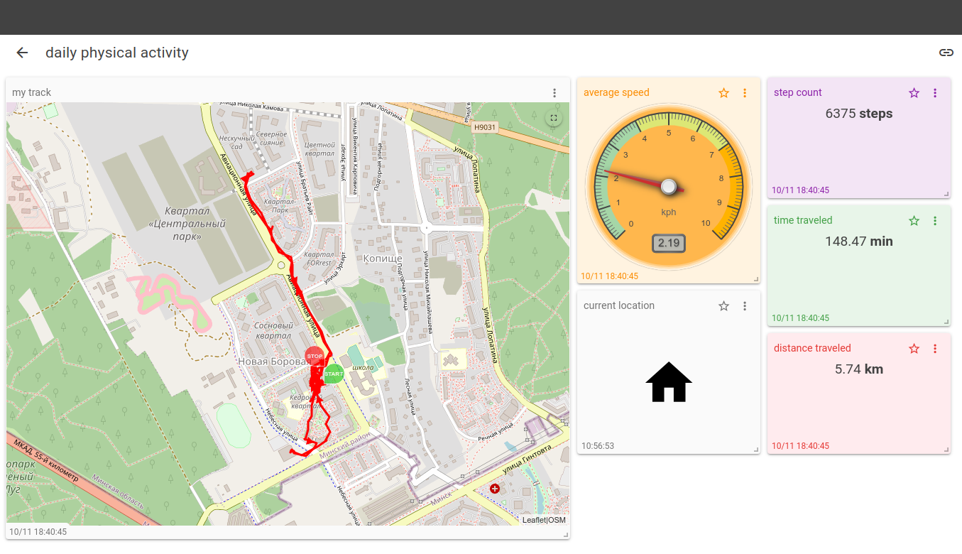Flespi screenshot: Flespi track daily physical activity