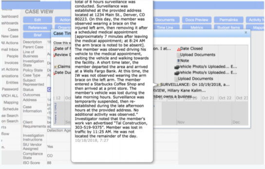 Polonious case view