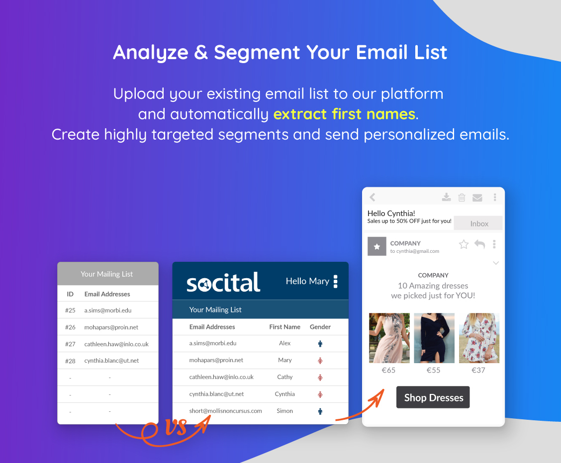 Upload, analyze, and segment your email database.