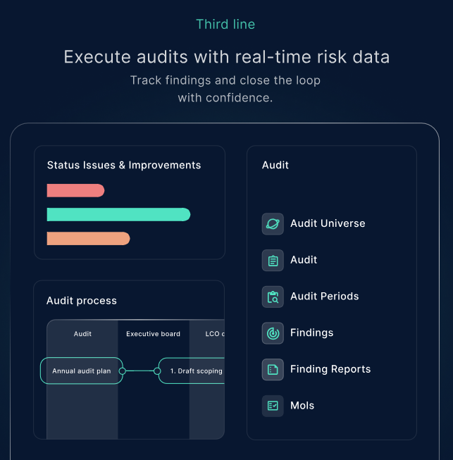 CERRIX Software - CERRIX execute audits with real-time risk data - thumbnail