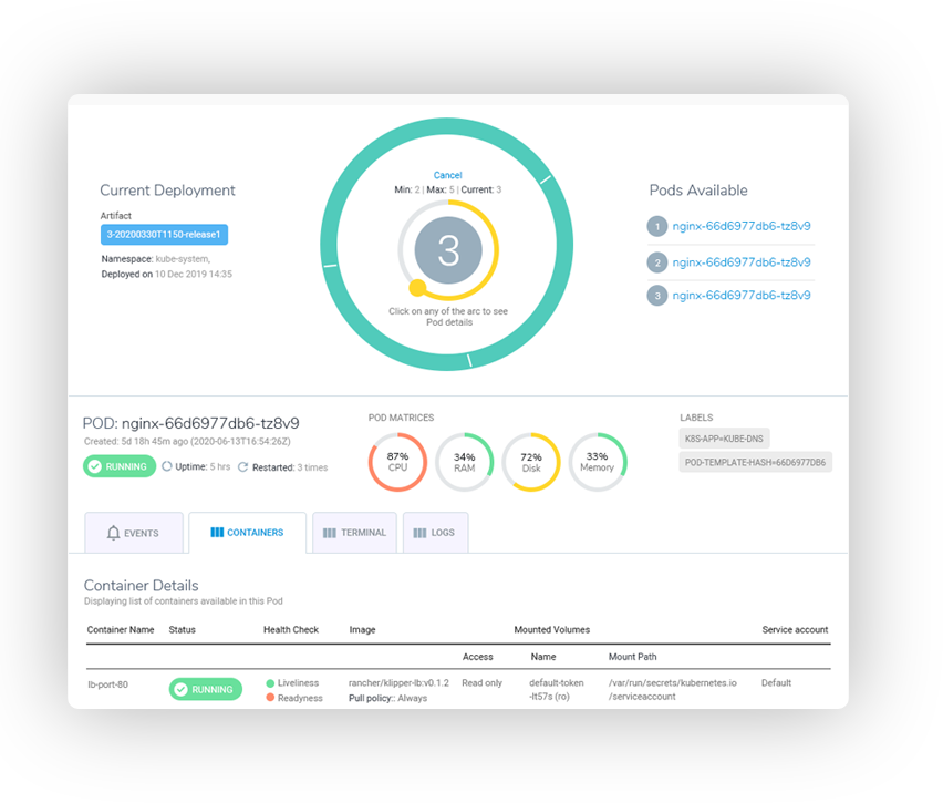 BuildPiper Software - Cluster view of services