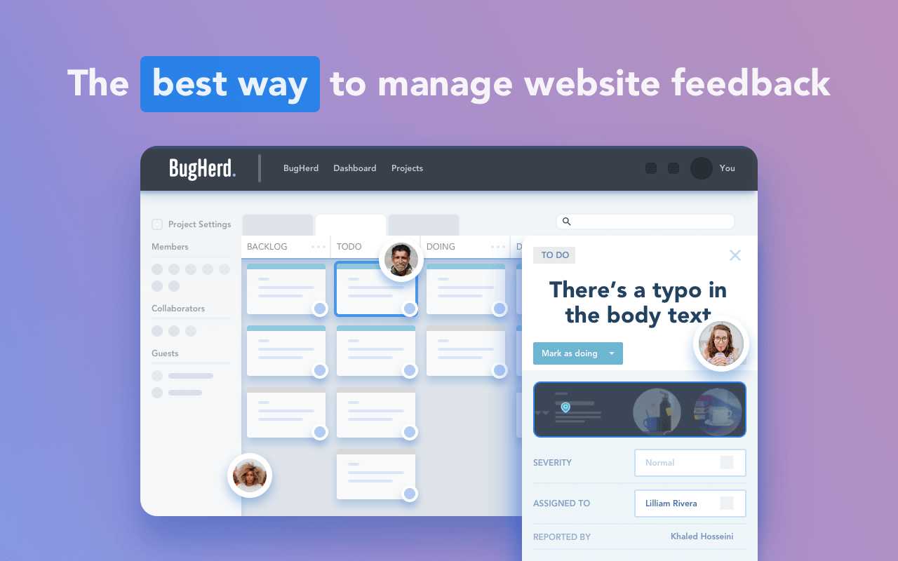 BugHerd Software - 3