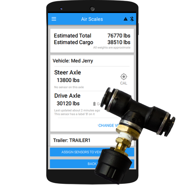 BIT Web Portal screenshot: BIT Air Scale