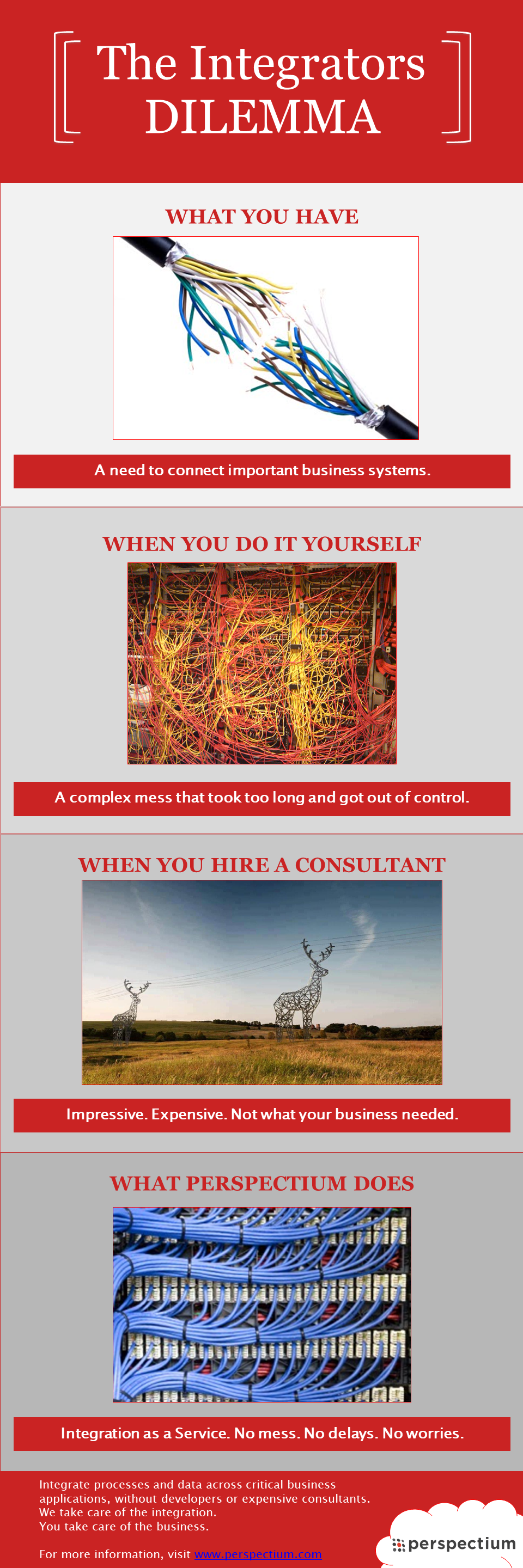 The Integrators Dilemma-thumb