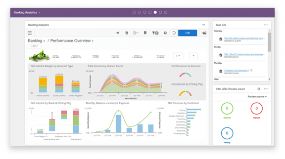 Infor Financials & Supply Management Software - 3