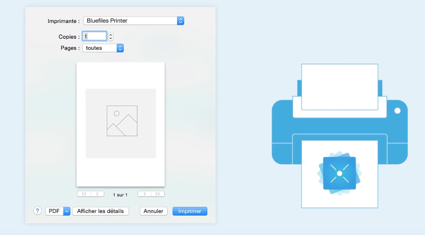 BlueFiles Software - 1