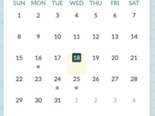 Beehively Software - Beehively calendar