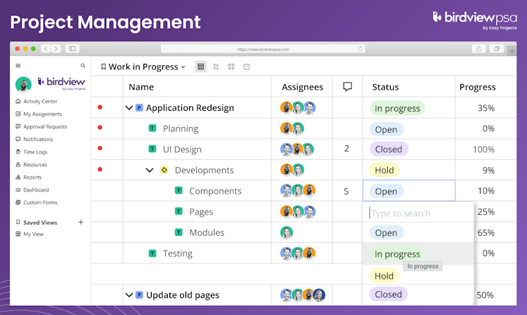 Birdview PSA screenshot: Project Management
