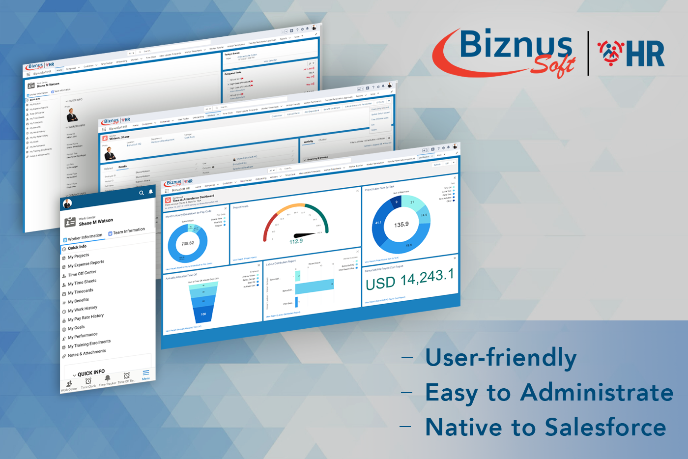 BiznusSoft HR screenshot: BiznusSoft HR at-a-glance