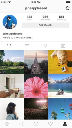 Instagram Software - All posts published by a user are visible on their profile
