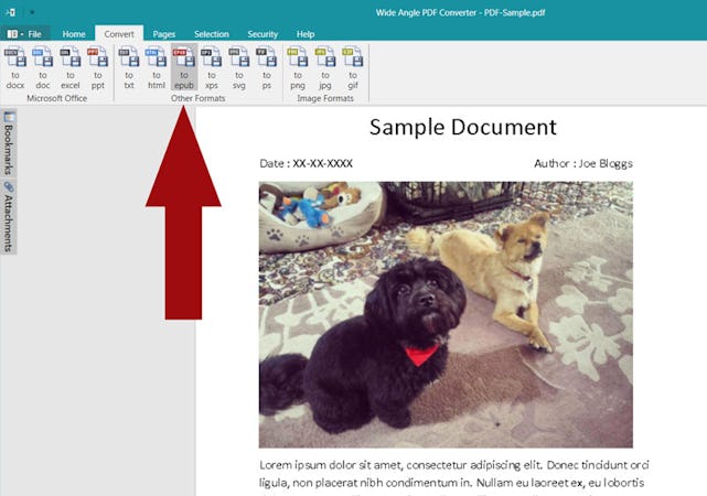 Wide Angle PDF Converter screenshot: Wide Angle PDF Converter converting PDF