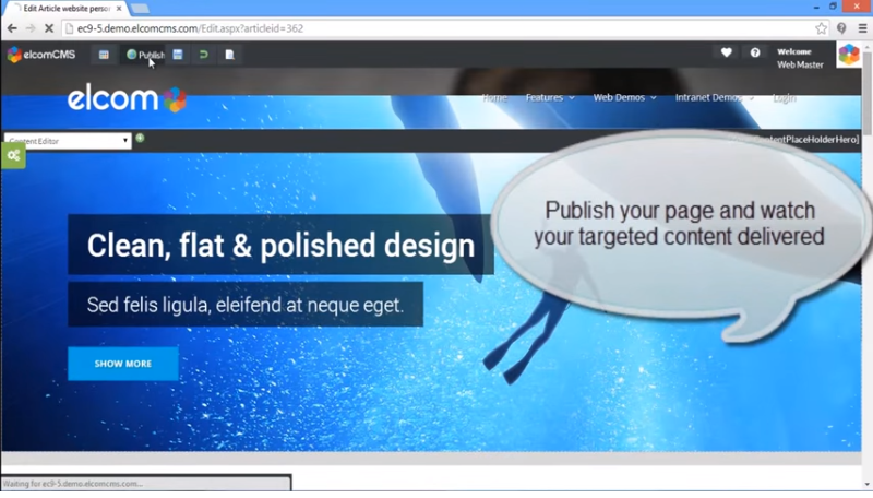elcomCMS - Page Preview