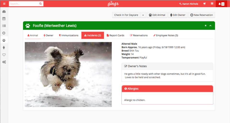 Create profiles for pets, including the most important information for the business