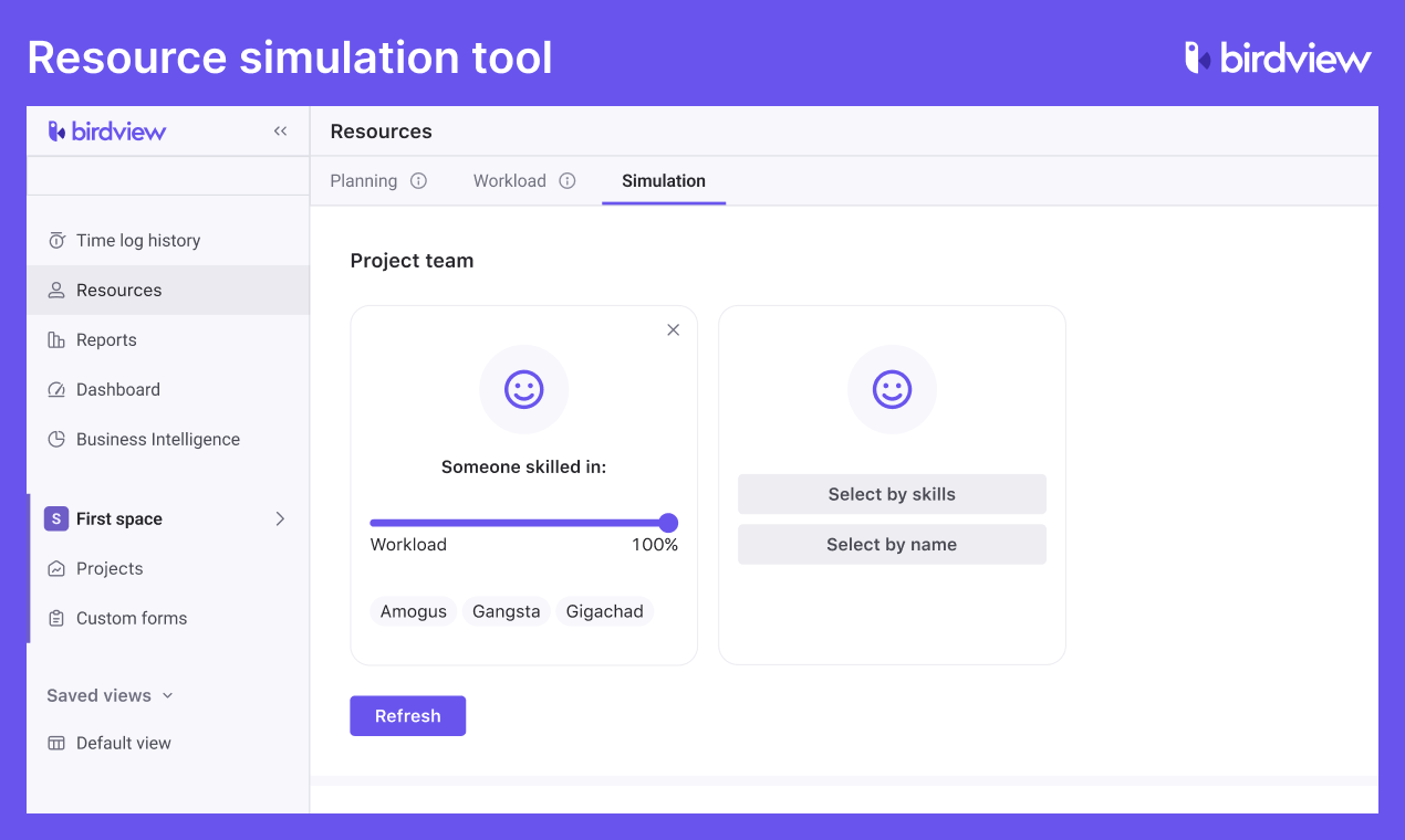 Birdview Software - Resource Simulation Tool