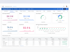 Workday Adaptive Planning Software - Workday Adaptive Planning analytics and reporting - thumbnail