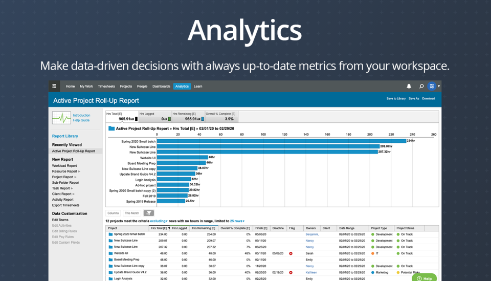 LiquidPlanner Logiciel - 4 - aperçu