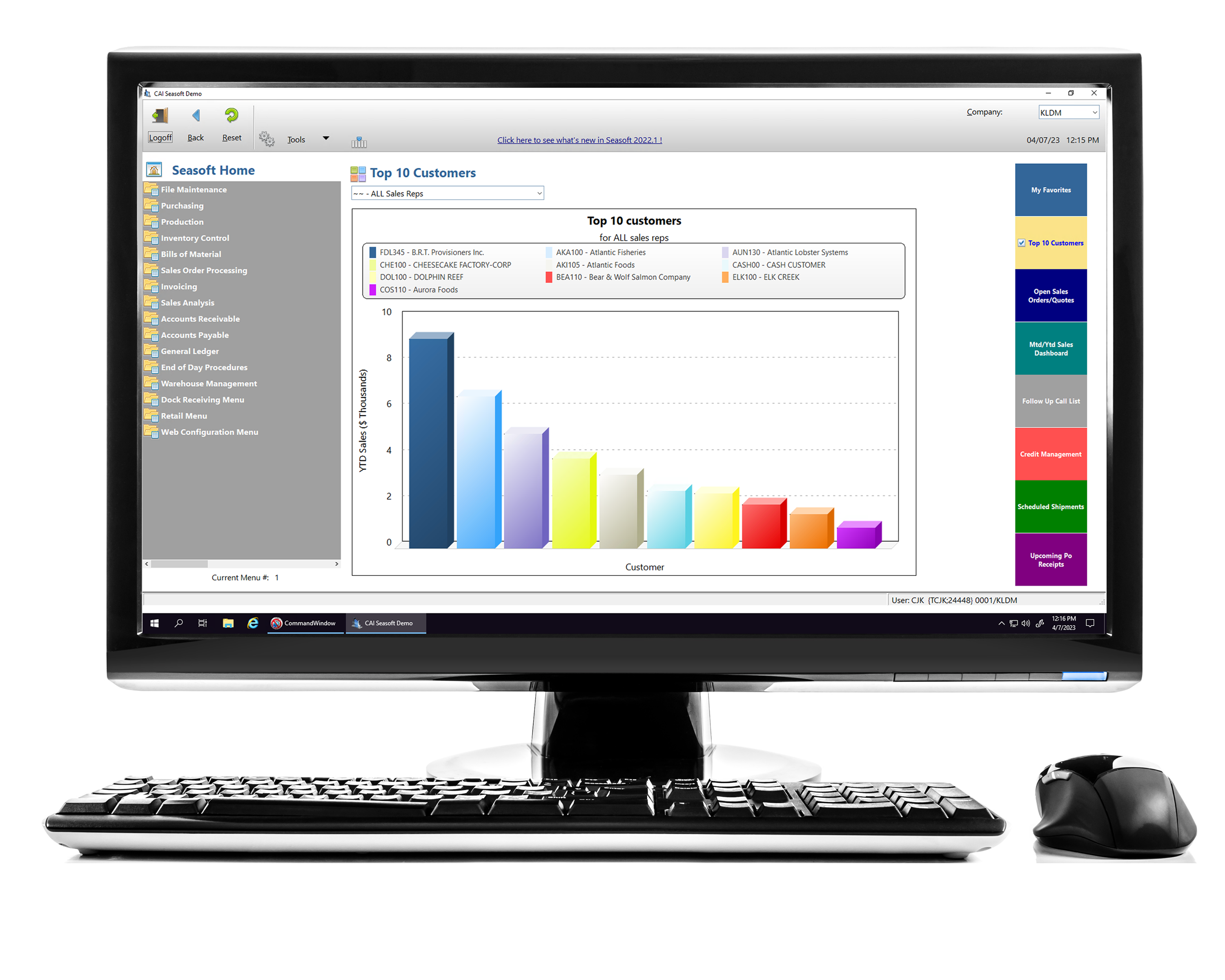 Seasoft ERP Profitability Analysis Screen