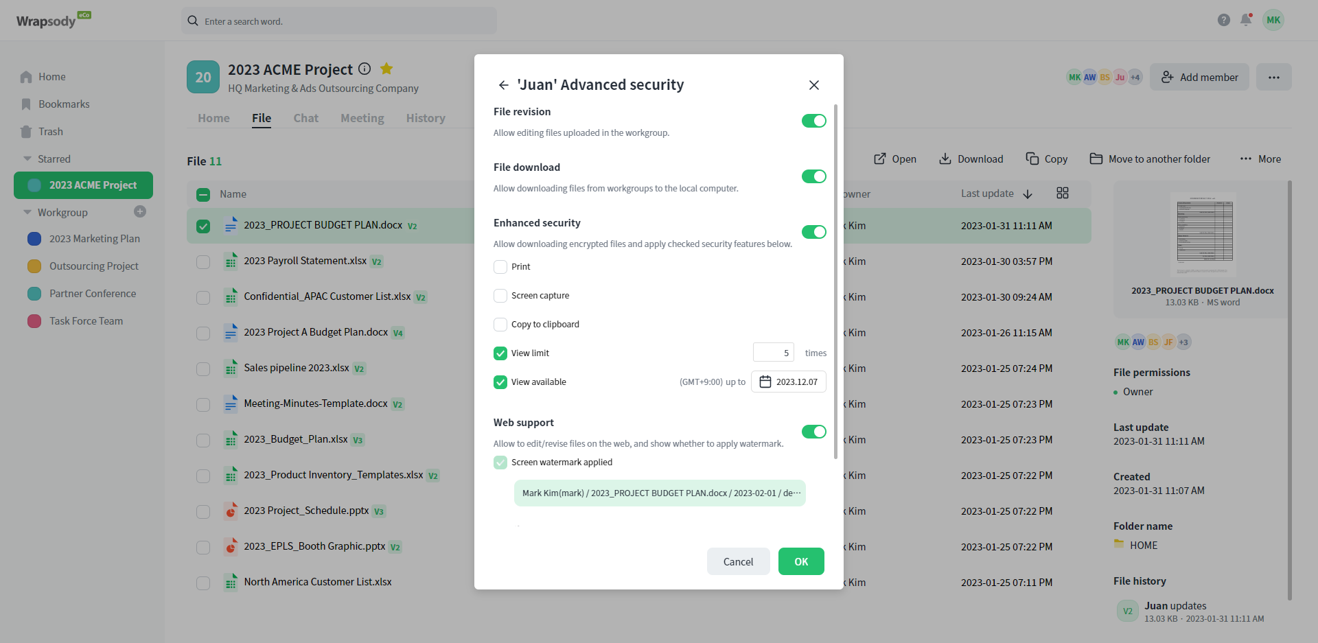 Wrapsody eCo screenshot: Wrapsody eCo projects