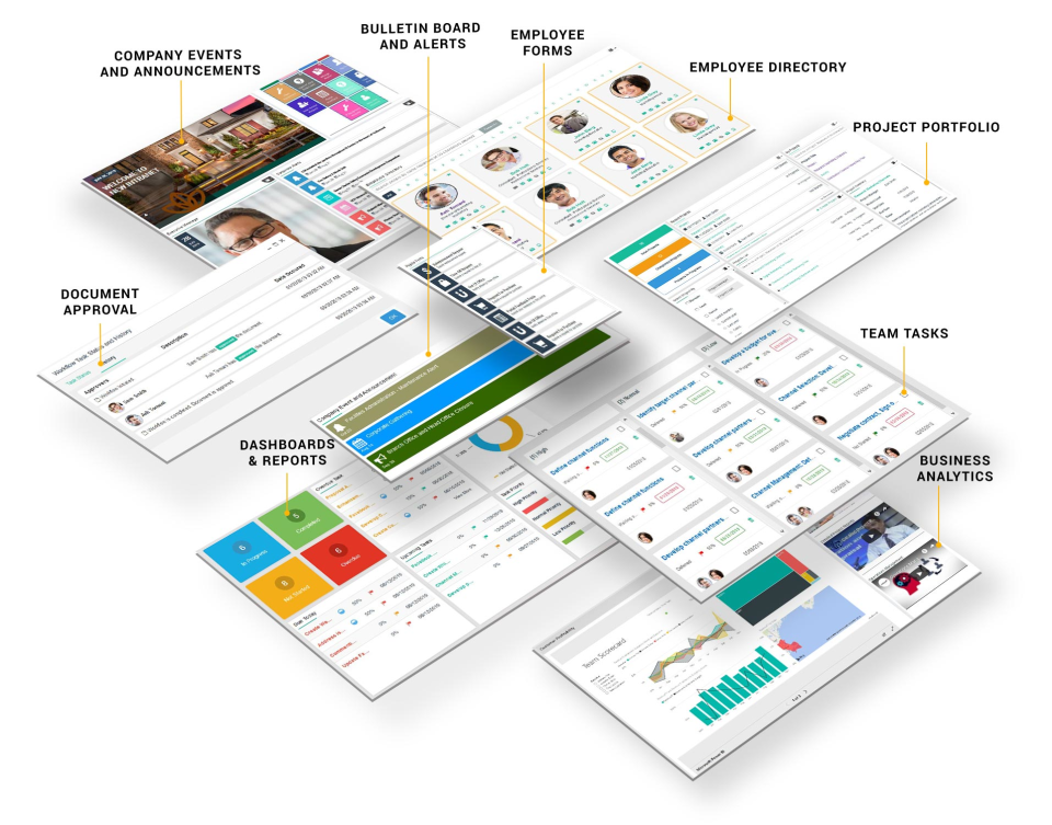 Intranet Portal-thumb