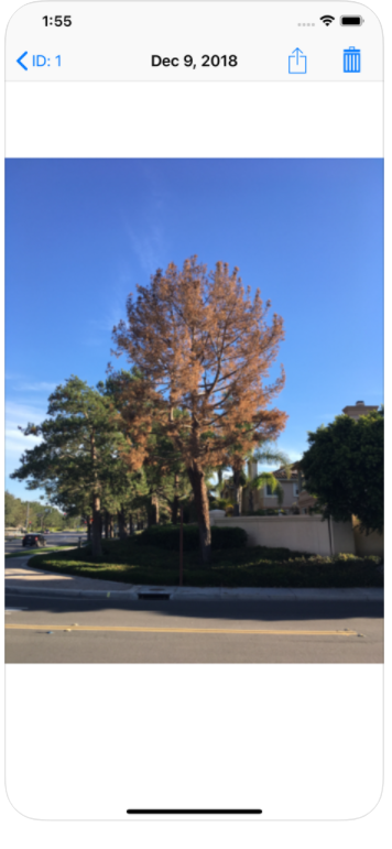 ArborNote add images