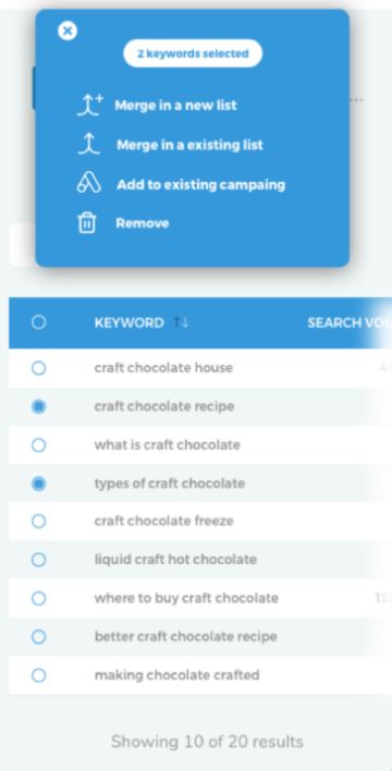 Clever Ads Keyword Planner results