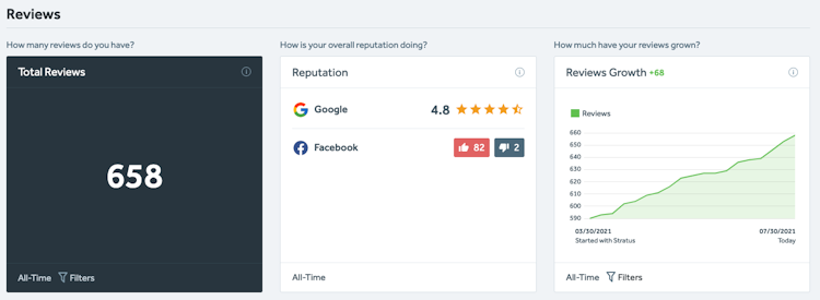 Stratus screenshot: Online Review Growth Dashboard