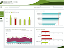 Dundas BI Software - Visualize the data you need for faster insights and better decisions