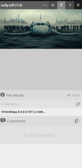 Digital Pigeon file details