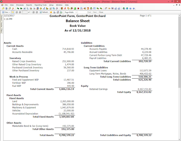 CenterPoint Accounting for Agriculture screenshot: Balance Sheet