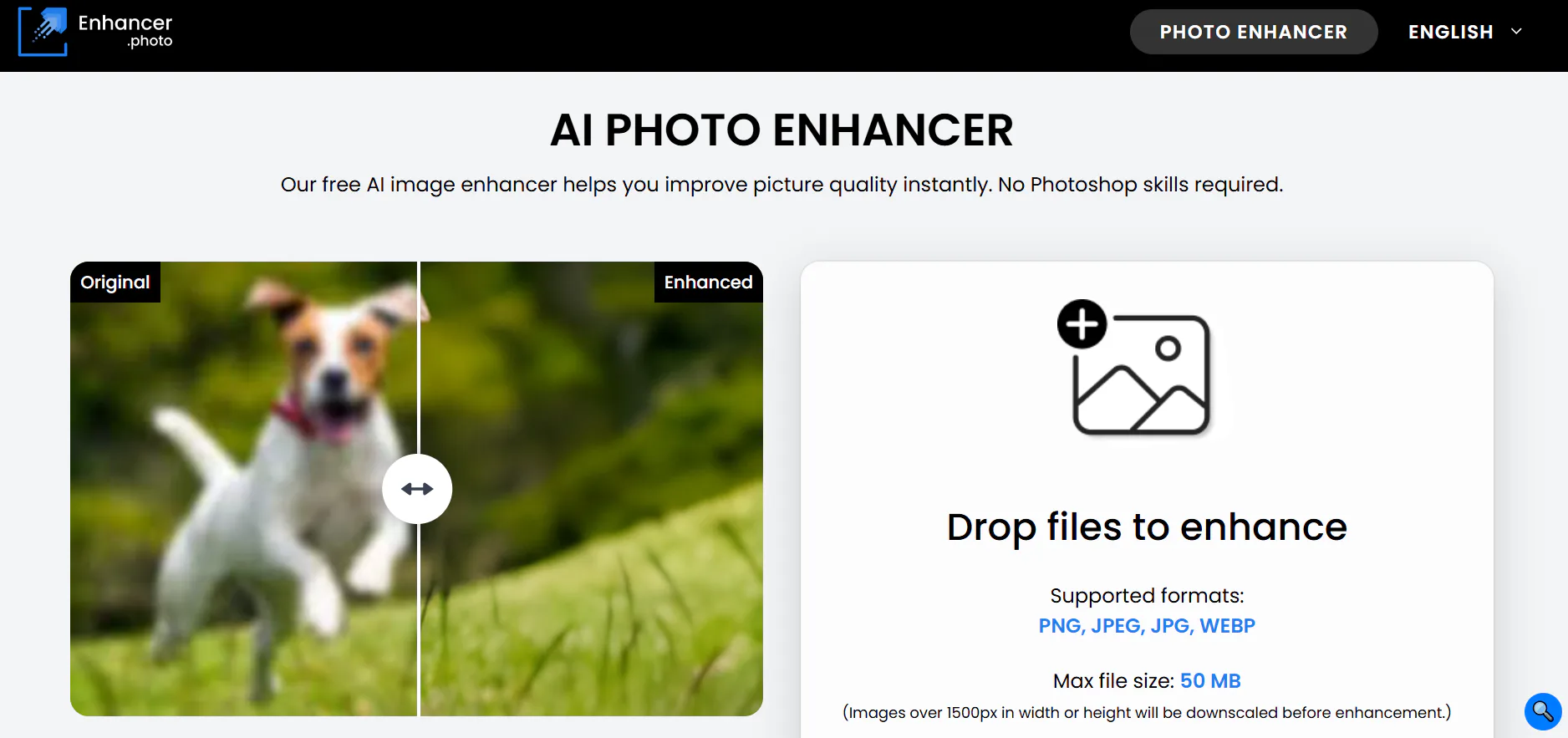 Photo Enhancer Reviews, Prices & Ratings | GetApp Canada 2026