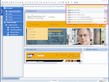 SAP Business One Software - Sap Business One - CRM - Cockpit