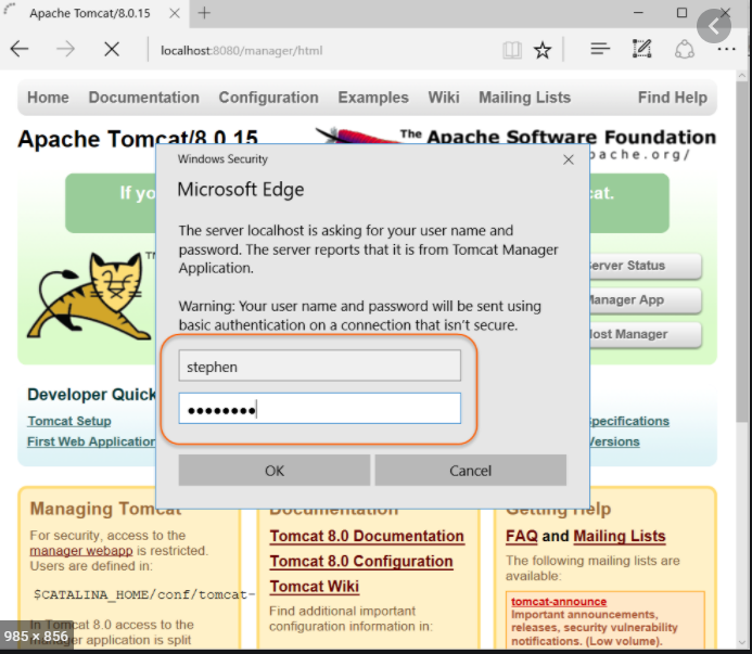 Apache Tomcat Software Reviews, Demo & Pricing 2024