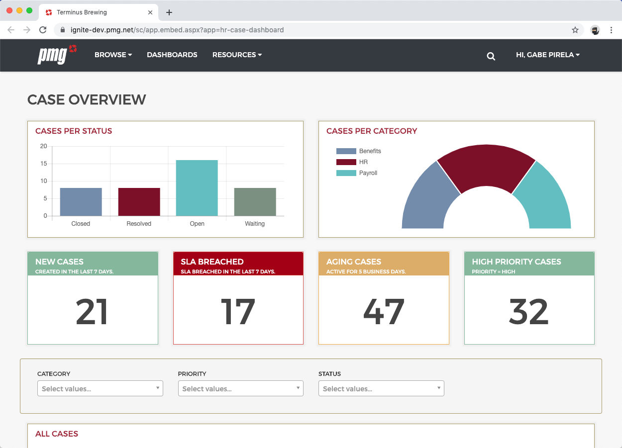 PMG screenshot: PMG HR Case Overview