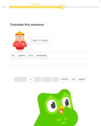 Duolingo Software - 2