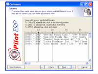 Pilot ERP Software - 2