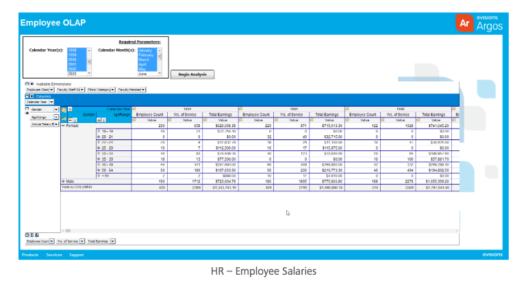 Argos Software - An OLAP Cube (On-Line  Analytical Processing) example within Argos, showing demo data for Employee Salaries