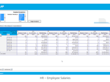 Argos Software - An OLAP Cube (On-Line  Analytical Processing) example within Argos, showing demo data for Employee Salaries