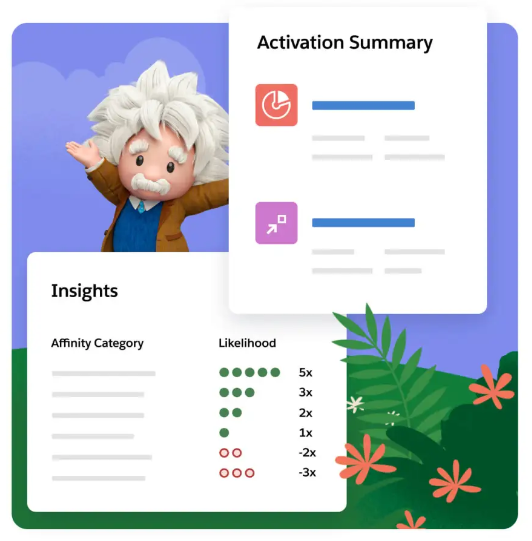 Salesforce Data Cloud screenshot: First-party Advertising