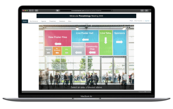 Graphical Home Page-thumb