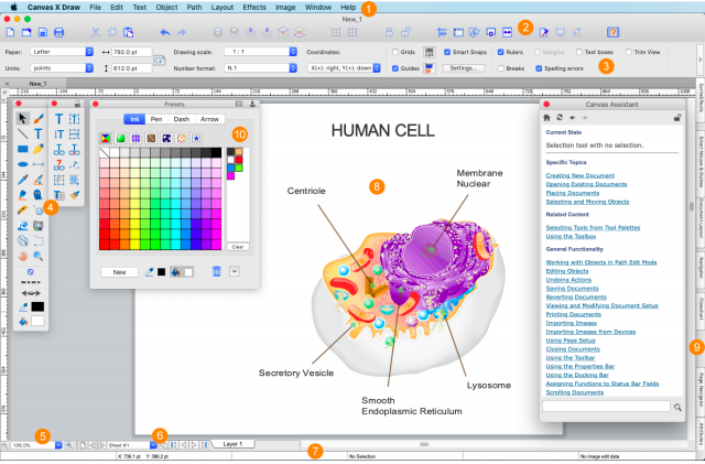 Canvas X Draw Software - 5