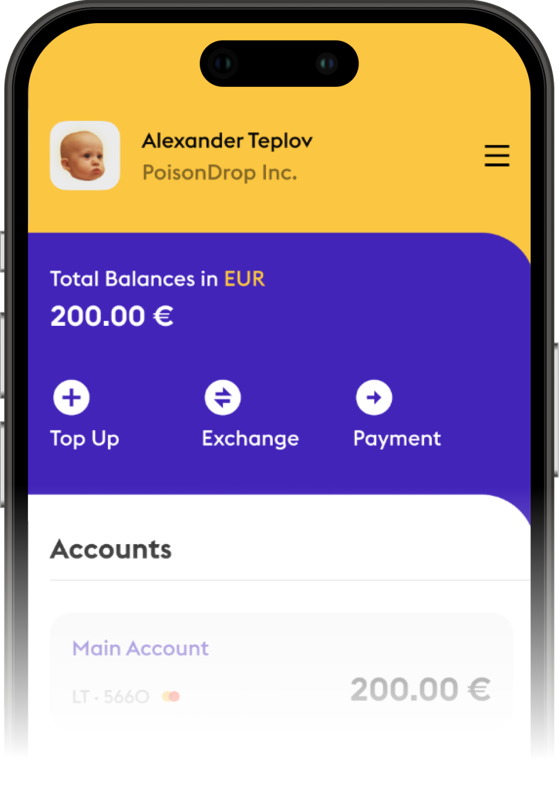 PayApp screenshot: PayApp mobile interface