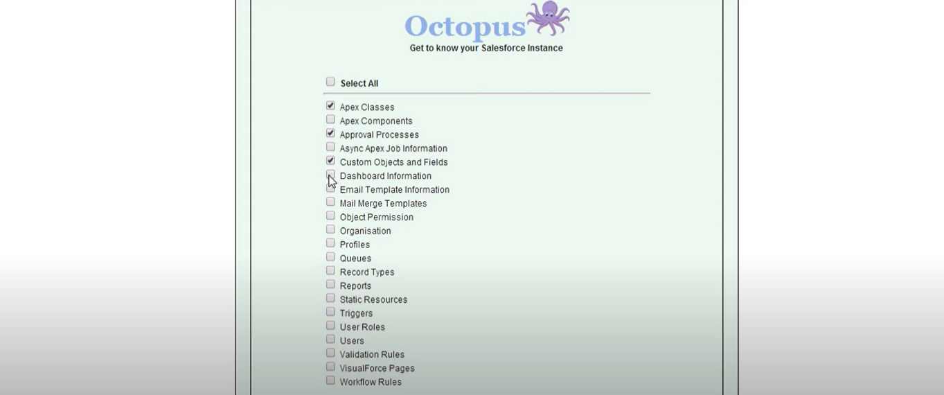Octopus Salesforce instance