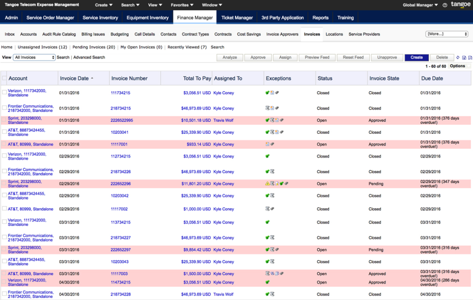 Tangoe TEM Software - Tangoe TEM - finance manager invoices