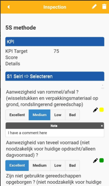SafetyFirst Software - SafetyFirst inspection