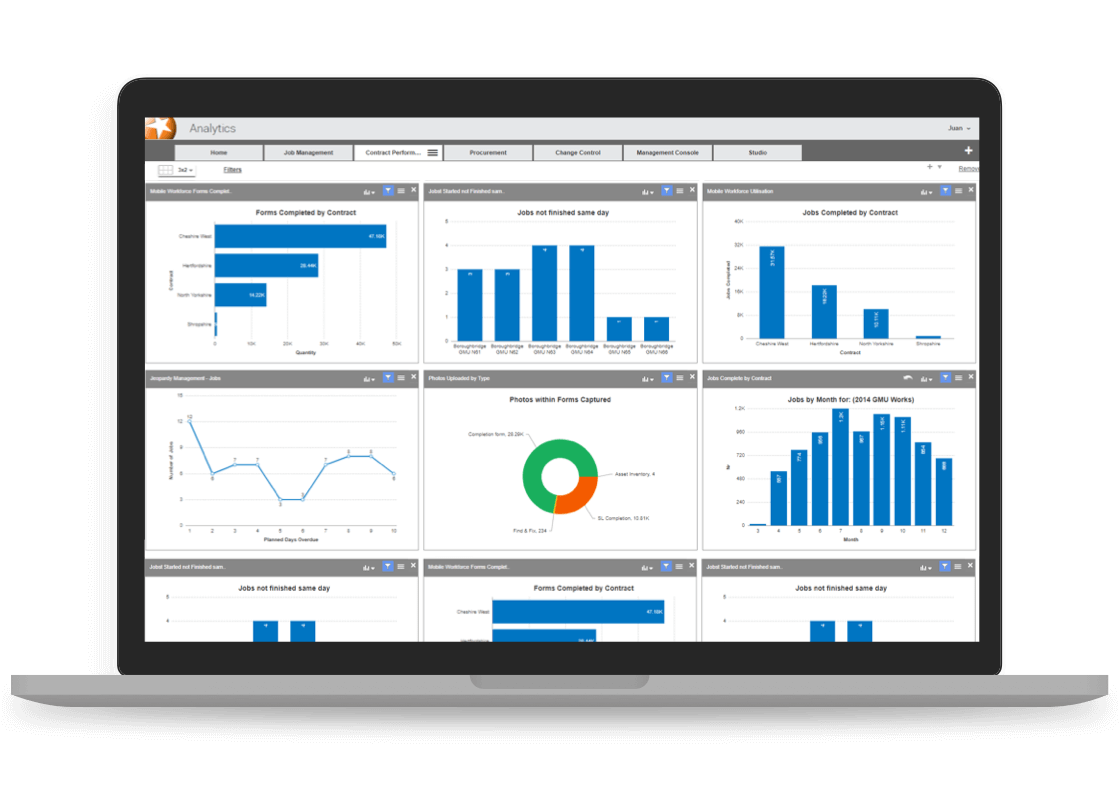 Causeway Project Accounting screenshot: Causeway Project Accounting analytics