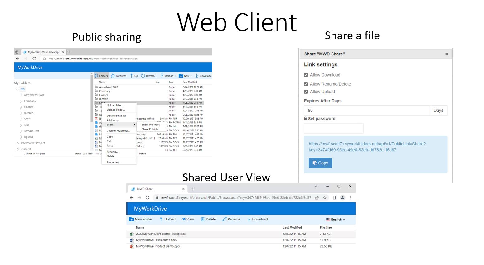 Web Client Public File/Folder Sharing