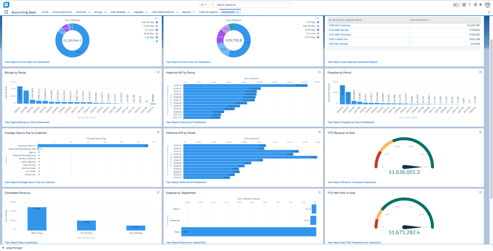Accounting Seed Software - Dashboards and Reports