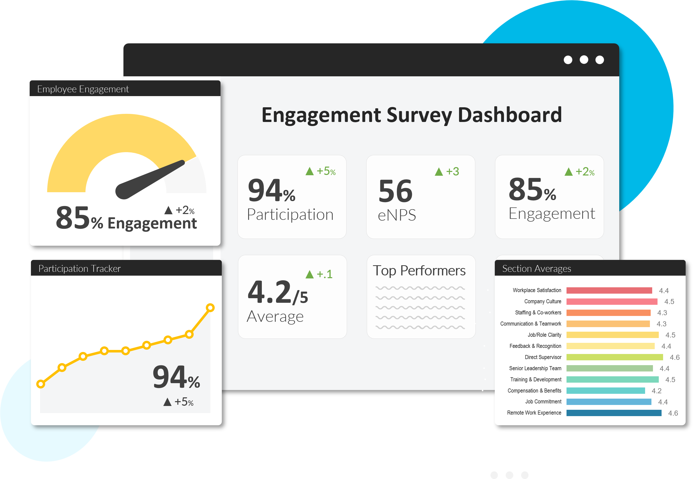 Real Time Feedback & Dashboard Style Reporting