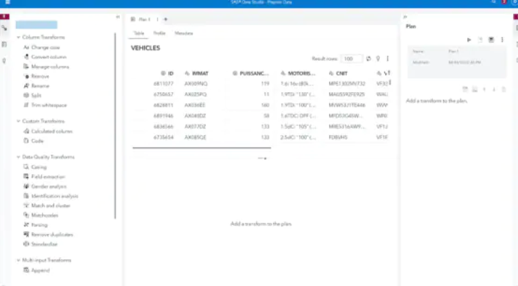 SAS Data Management Logiciel - 3
