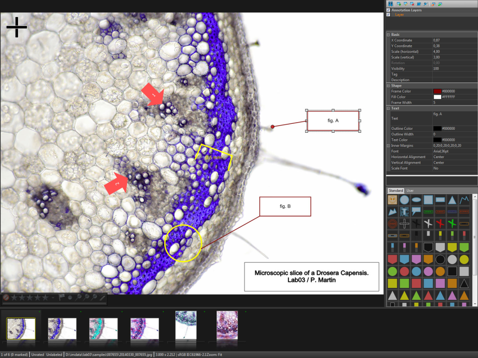 IMatch Software - Using Vector Annotations.